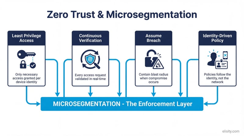 Zero trust and microsegmentation framework showing four pillars: least privilege, continuous verification, assume breach, and identity-driven policy